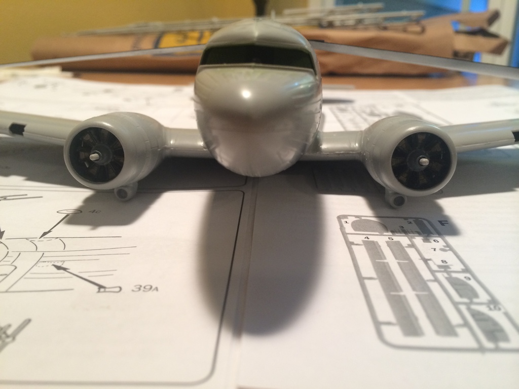 How can anyone say no to this face? Evidence the wings will also need some work